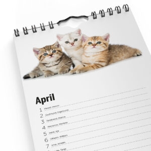 Födelsedagskalender Katter 2