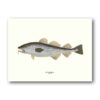 Affisch medium torsk