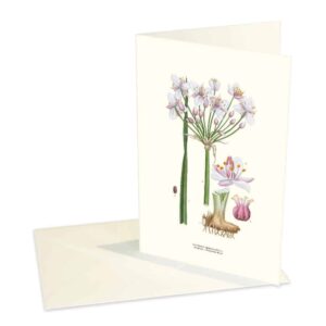 Kort Blomvass