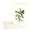 Kort Humleblomster