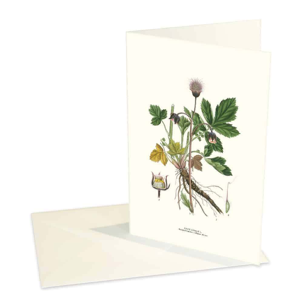 Kort Humleblomster