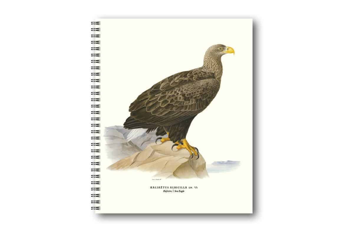 Skrivbok Havsörn Skrivbok Havsörn