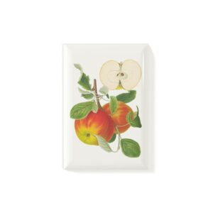Magnet Äpple Danziger Kantapfel
