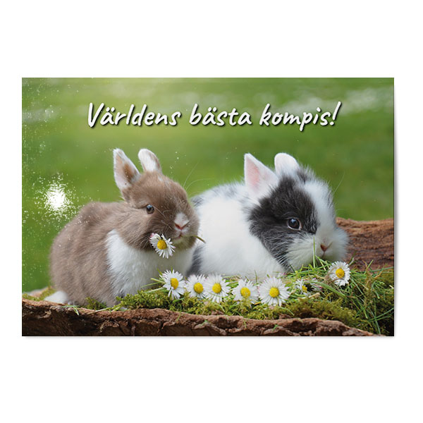 Vykort Världens bästa kompi