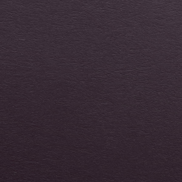 COLORPLAN AMETHYST A4 270g
