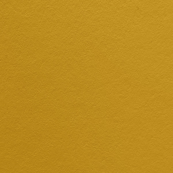 COLORPLAN CITRINE A4 350g
