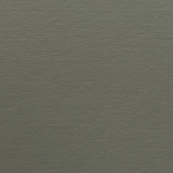 COLORPLAN REAL GREY A4 540g
