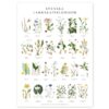 Poster Landskapsblommor 50x70