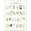 Poster Landskapsblommor 50x70 med ram