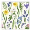 MATSERVETTER 20P LANDSKAPSBLOMMA
