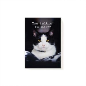 Magnet Cat 1
