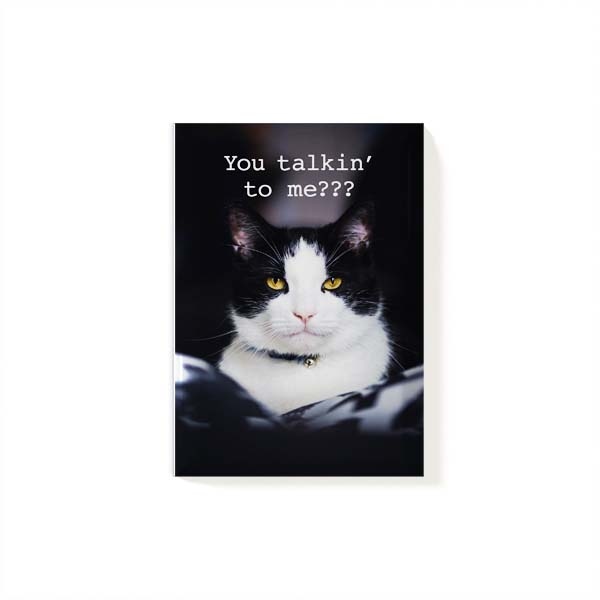 Magnet Cat 1