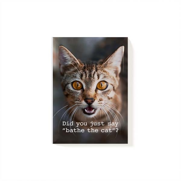 Magnet Cat 2 Magnet Cat 2