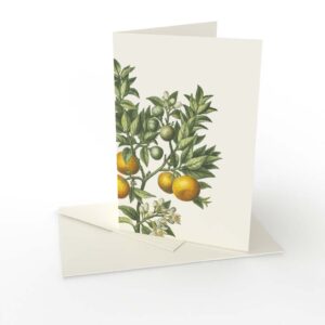 Kort vikt Citron Bigaradia