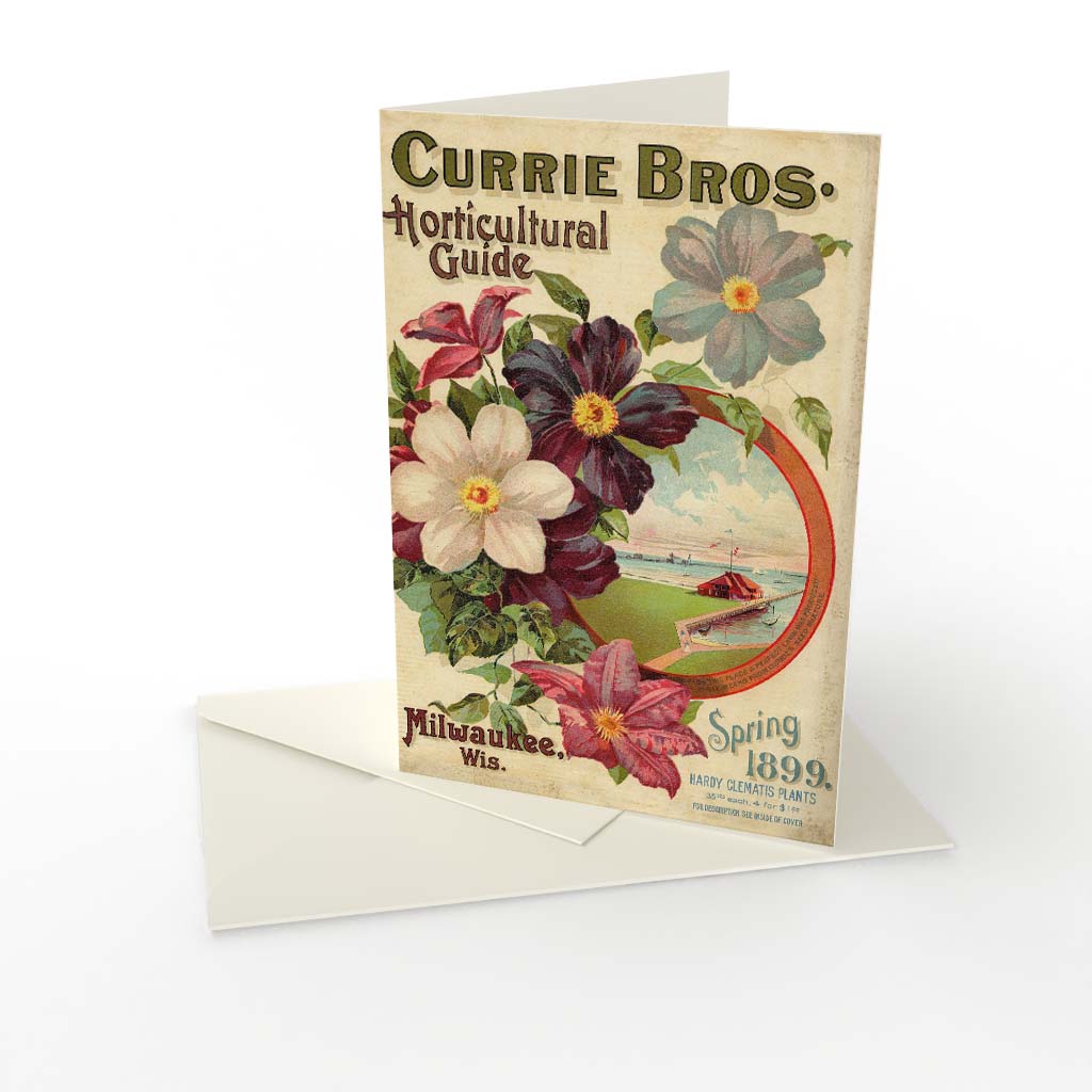 Kort vikt Currie seeds Klematis