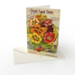 Kort vikt Perry seeds Blomsterkrasse