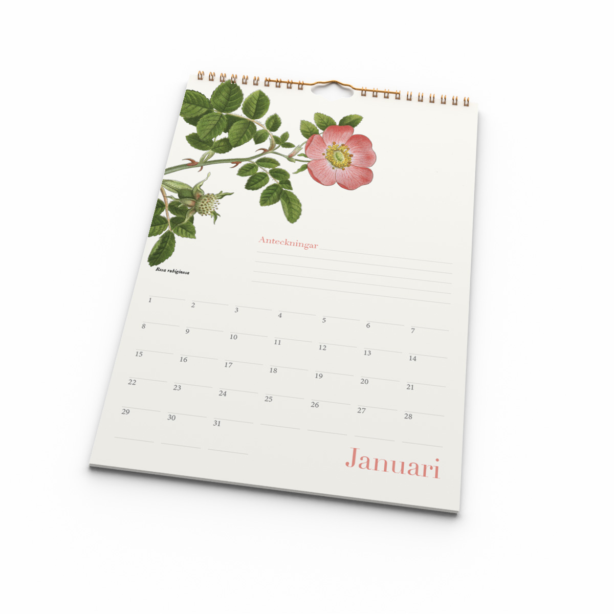 Väggkalender Wildflower Evighet Kalendarie
