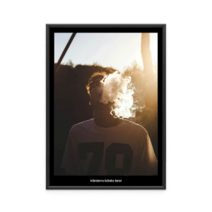 Fotoposter Bror 1