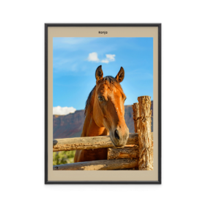 Fotoposter Häst 4