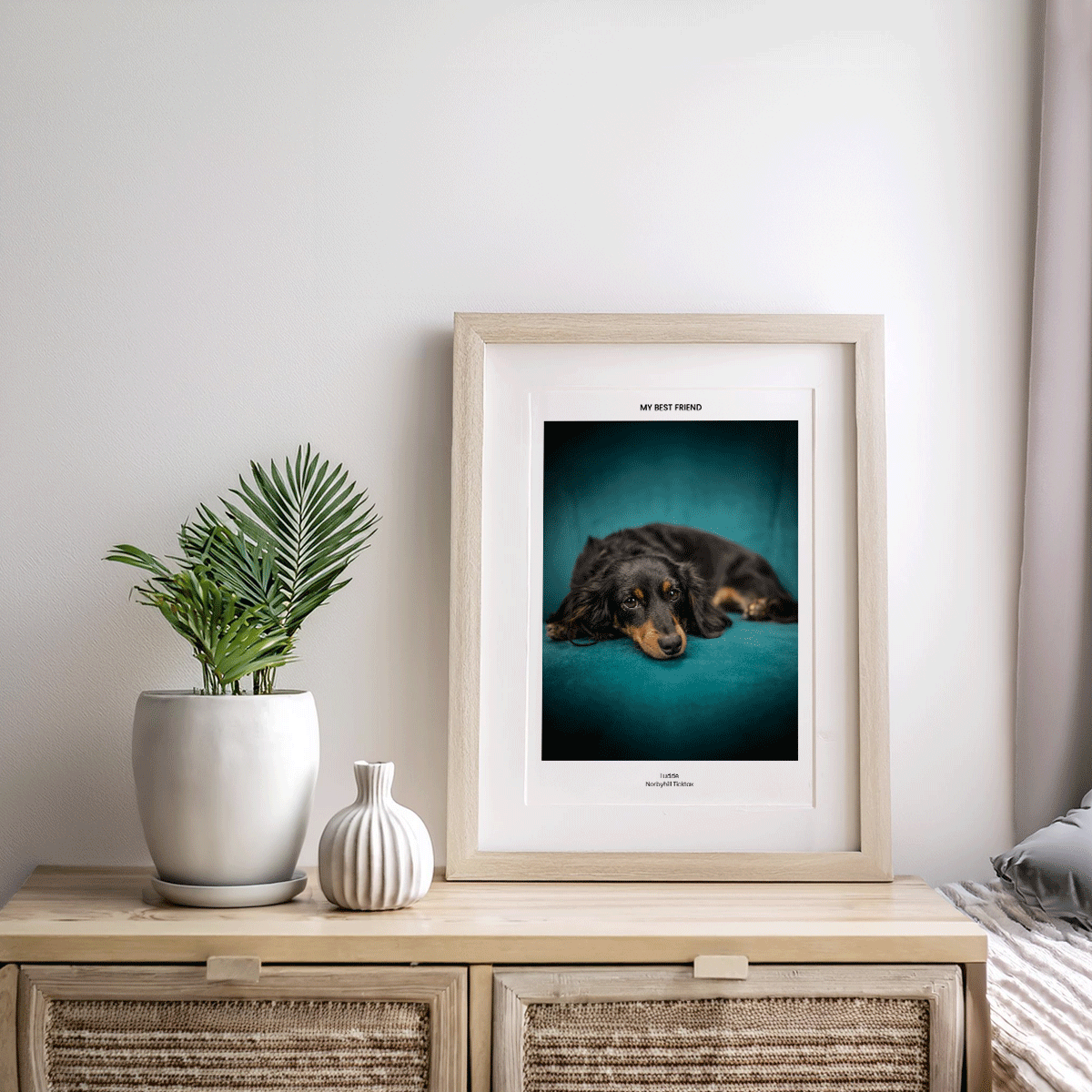 Fotoposter Hund 2 byrå