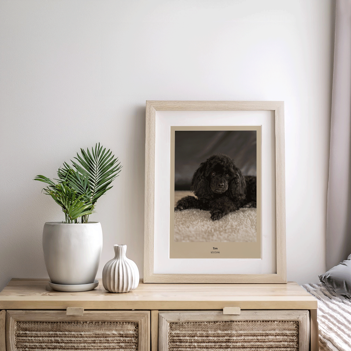 Fotoposter Hund 3 Byrå