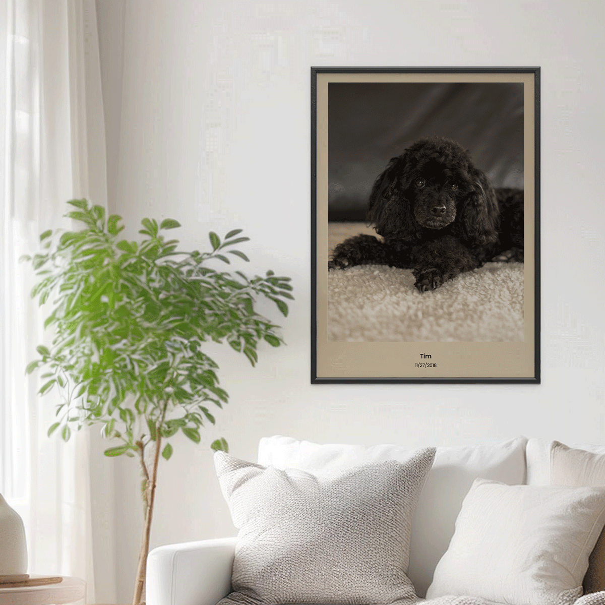Fotoposter Hund 3 Vägg 1