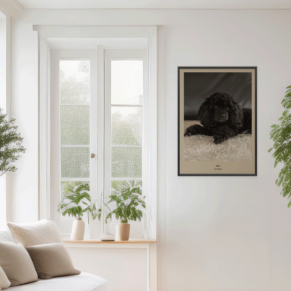 Fotoposter Hund 3 vägg 2