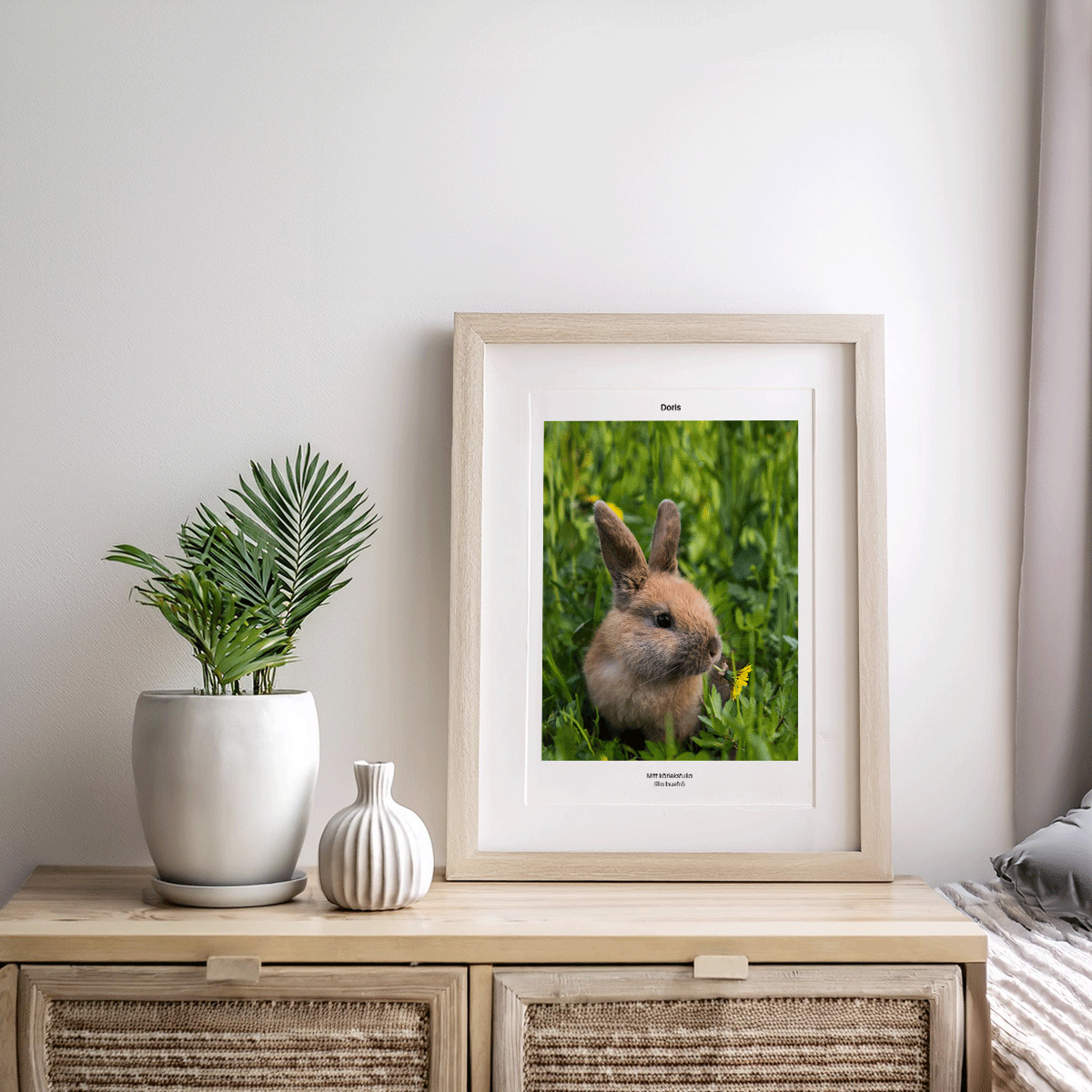 Fotoposter Kanin 2 Byrå