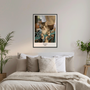 Fotoposter Katt 1 Vägg 1
