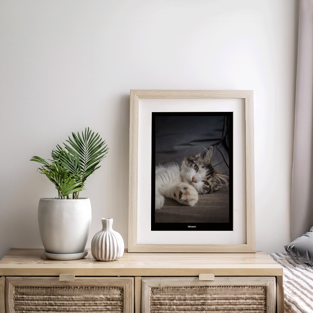 Fotoposter Katt 3 Byrå