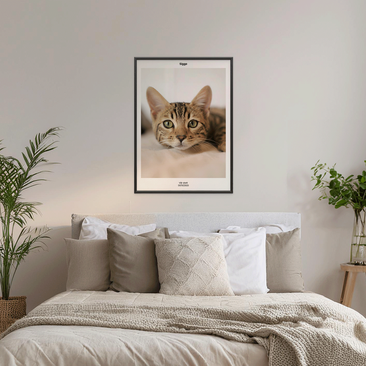 Fotoposter Katt 4 Vägg 1