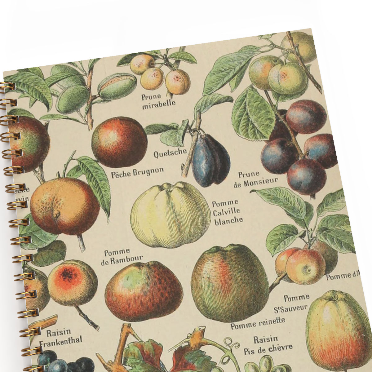 Anteckningsbok A5 Vintage Frukt 2