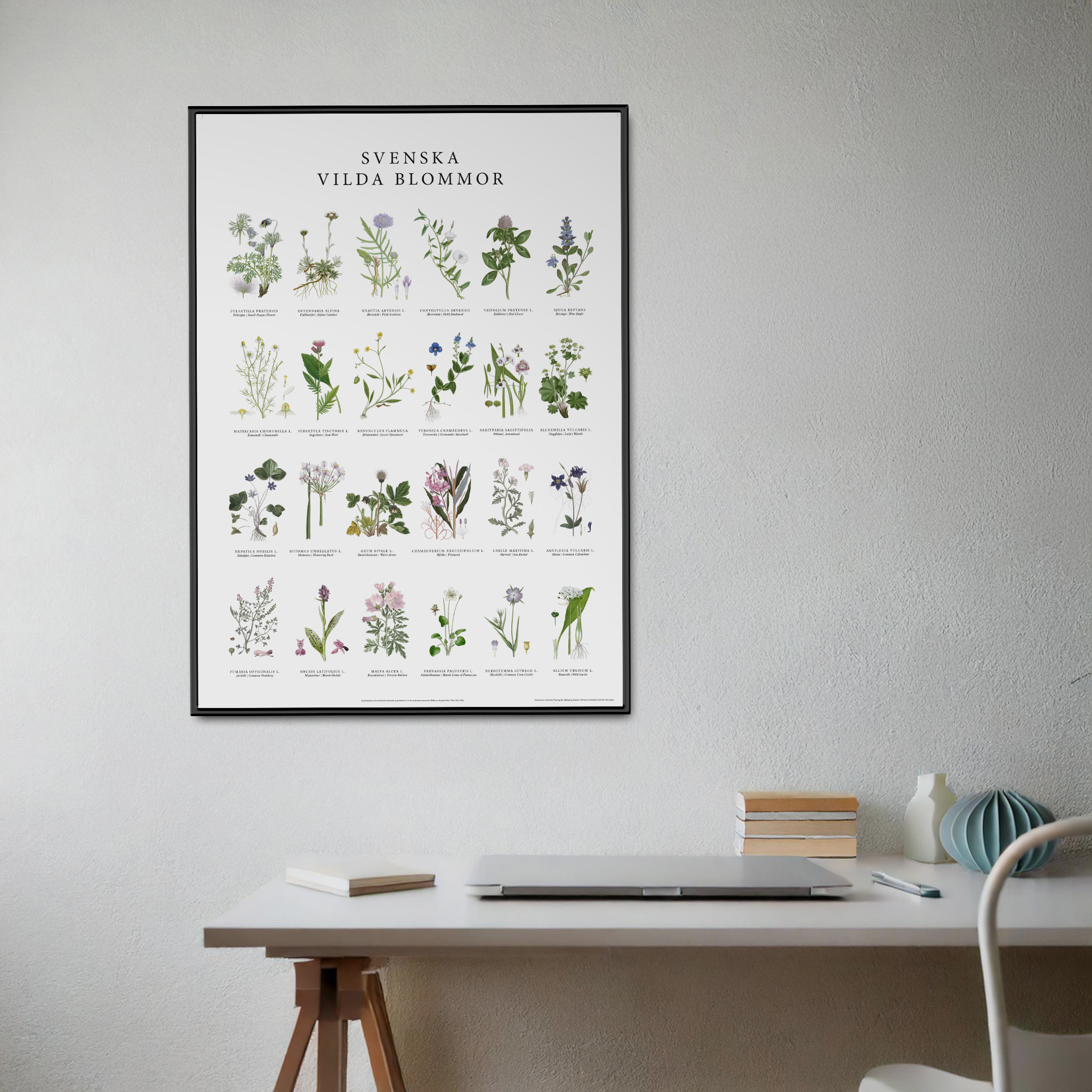 Poster Vilda blommor 50x70 2
