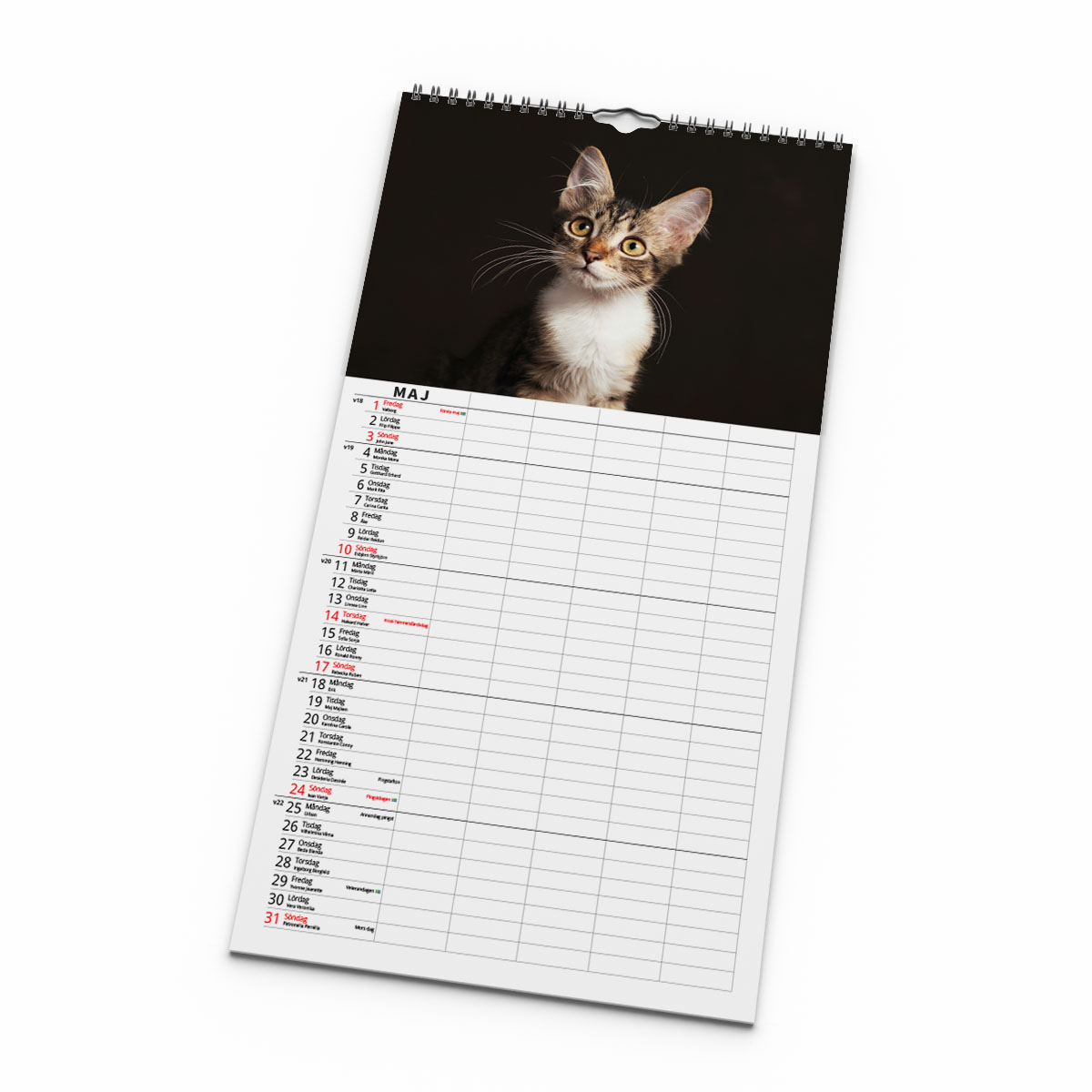 Familjekalender Katter 2026 kalendersida
