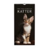 Familjekalender Katter 2026 omslag