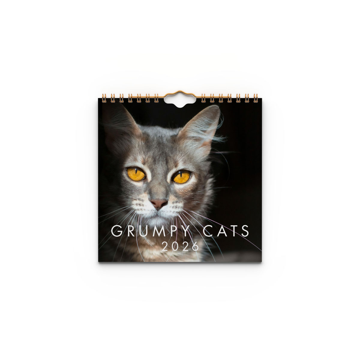 Väggkalender Grumpy Cats Mini 2026 omslag