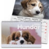 Väggkalender Hundar Medium 2026