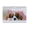 Väggkalender Hundar Medium 2026 omslag