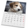 Väggkalender Hundar Medium 2026 uppslag