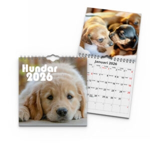 Väggkalender Hundar Mini 2026