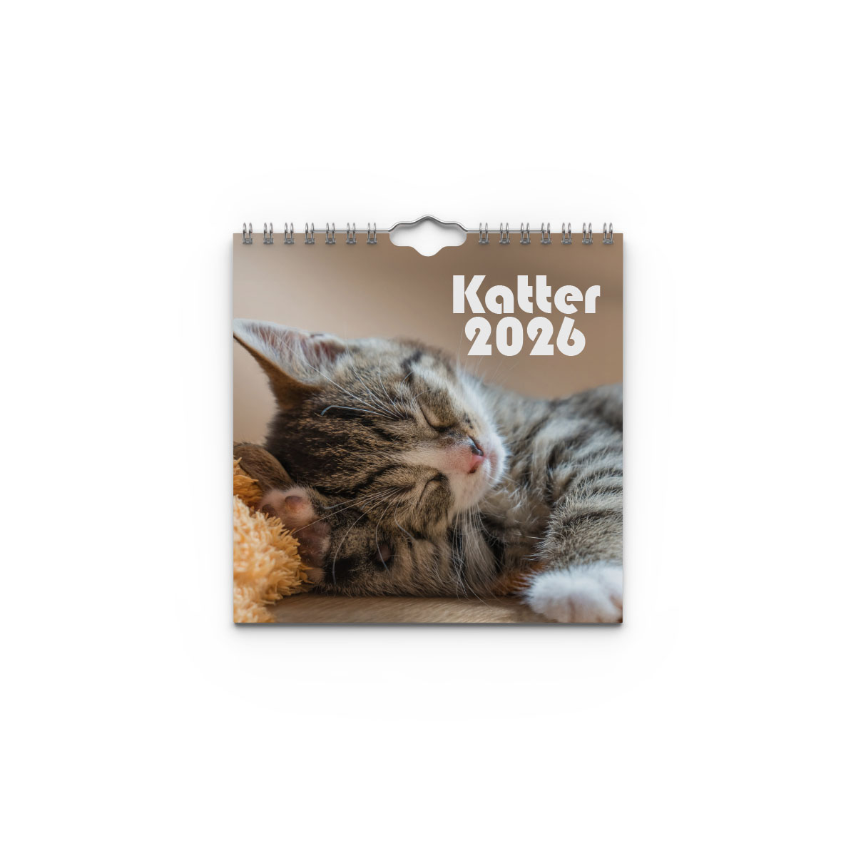 Väggkalender Katter Mini 2026 omslag Väggkalender Katter Mini 2026 omslag