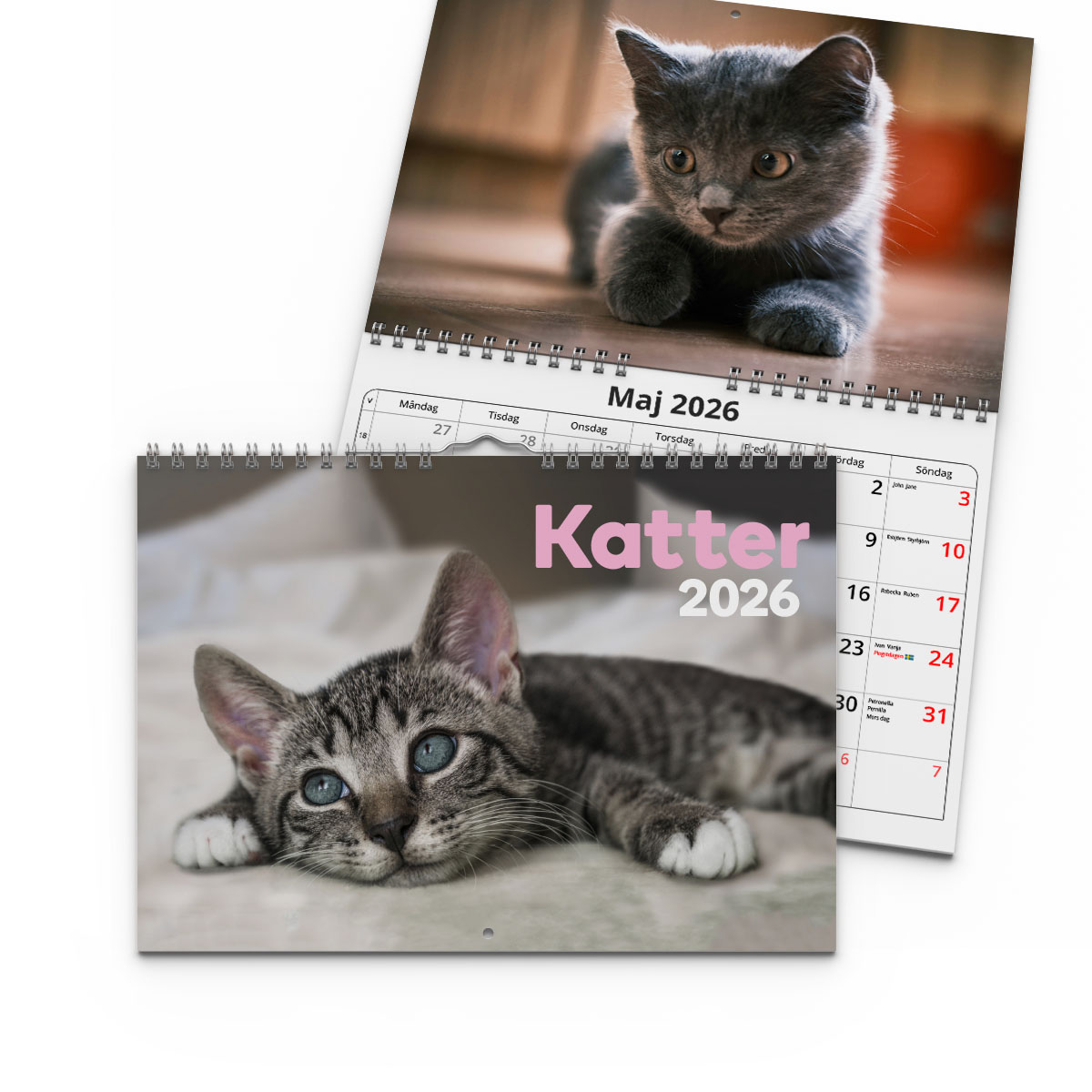 Väggkalender Katter Small 2026