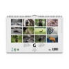 Väggkalender Levande Skog 2026 baksida