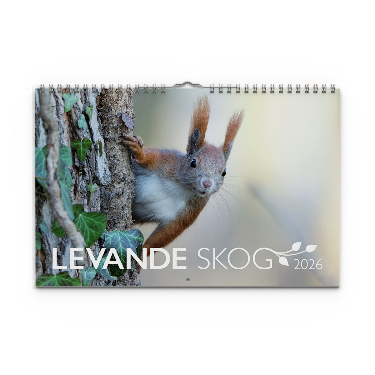 Väggkalender Levande Skog 2026 omslag