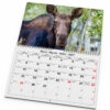 Väggkalender Älgar 2027 uppslag