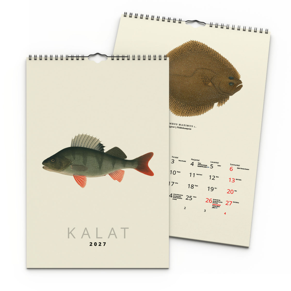 Väggkalender Fiskar 2027 Finsk 2