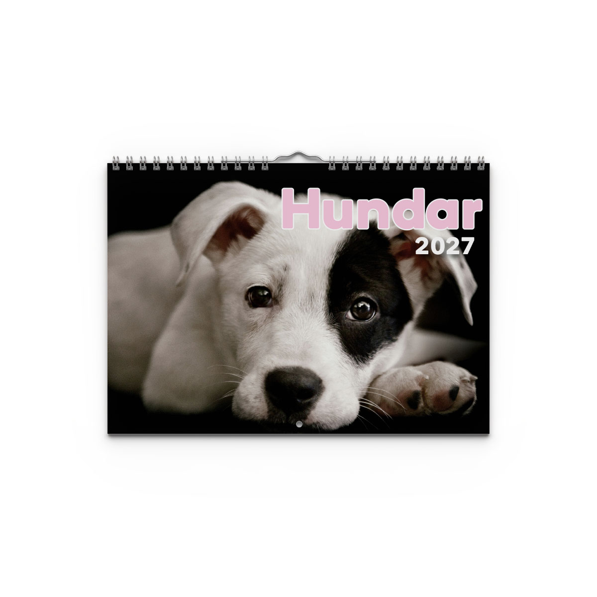 Väggkalender Hundar Small 2027 Väggkalender Hundar Small 2027