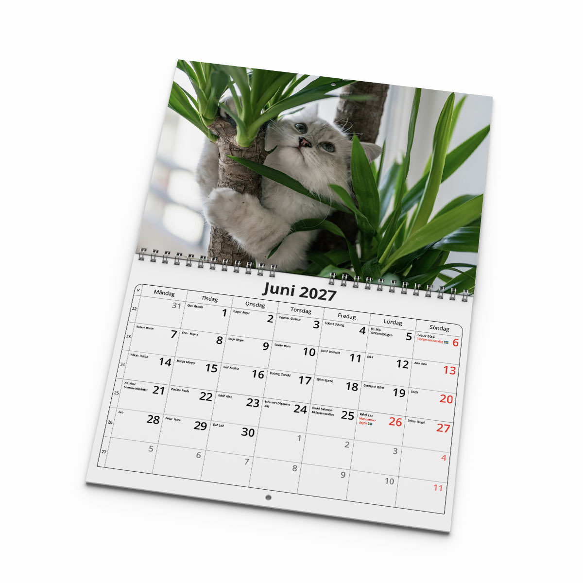 Väggkalender Katter Small 2027 uppslag
