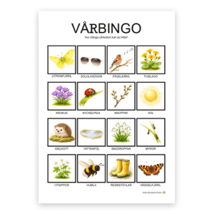 Vårbingo - bingobricka med 16 rutor. Rutorna visar vårtecken.